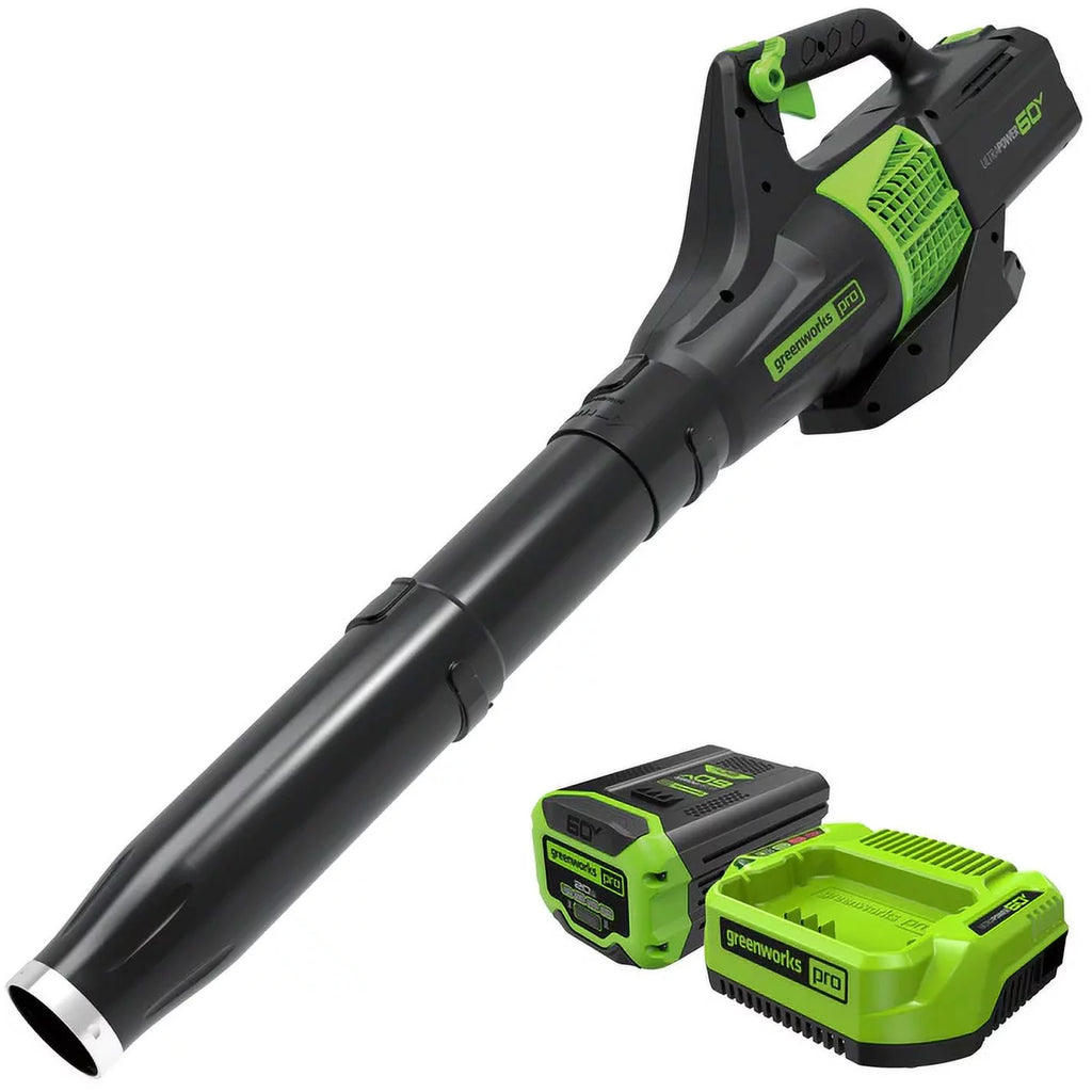 60V Cordless Leaf Blower with 2.0Ah Battery & Charger W2277