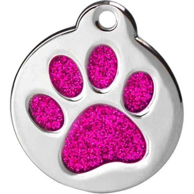 Stainless Steel Personalized Dog & Cat ID Tag F420