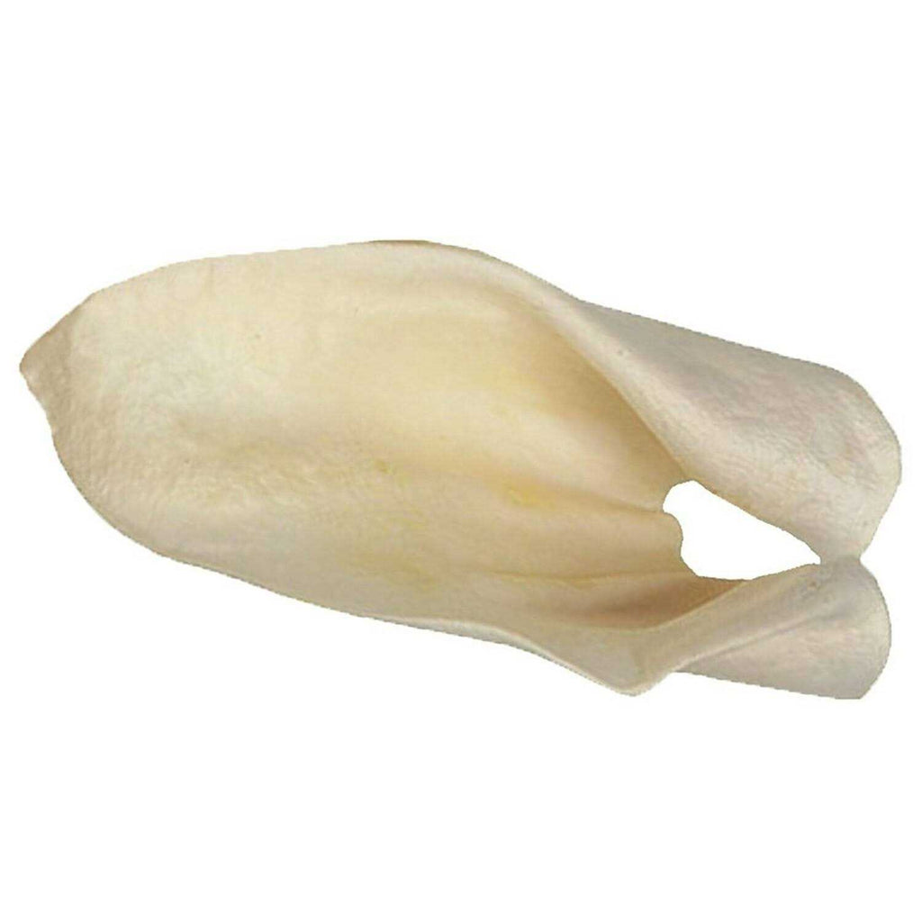 Cow Ears N92931