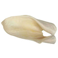 Cow Ears N92931