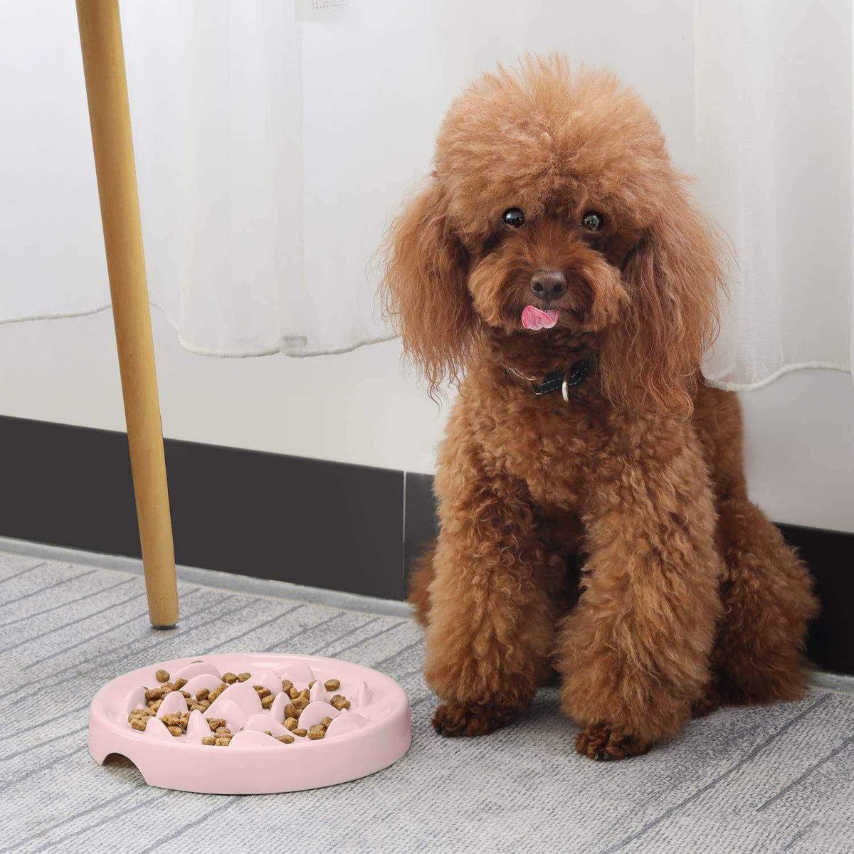 Slow Feeder Bowl for Cats and Small Dogs Z58523