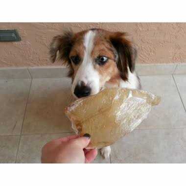 Buffalo Ears for Dogs G9193