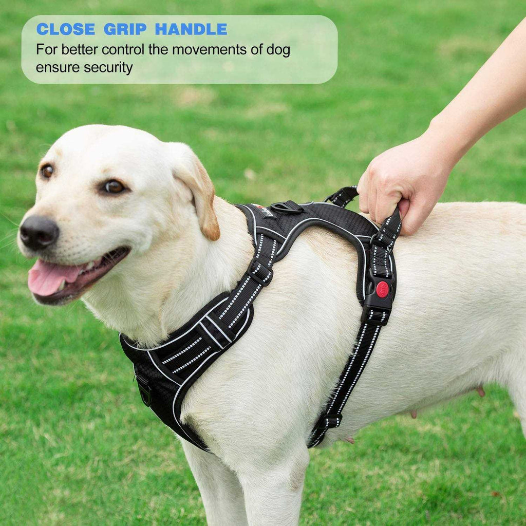 Adjustable Reflective Oxford Dog Harness with 5ft Dog Leash F146424