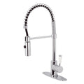 Polished Chrome Pull-Down Sprayer Kitchen Faucet C5553