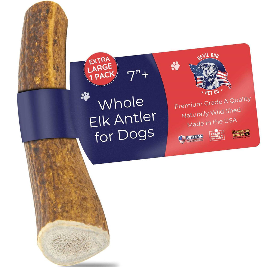 Elk Antler Dog Chew J977949