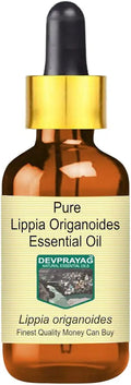 Lippia Origanoides Steam Distilled Essential Oil 100ml S634