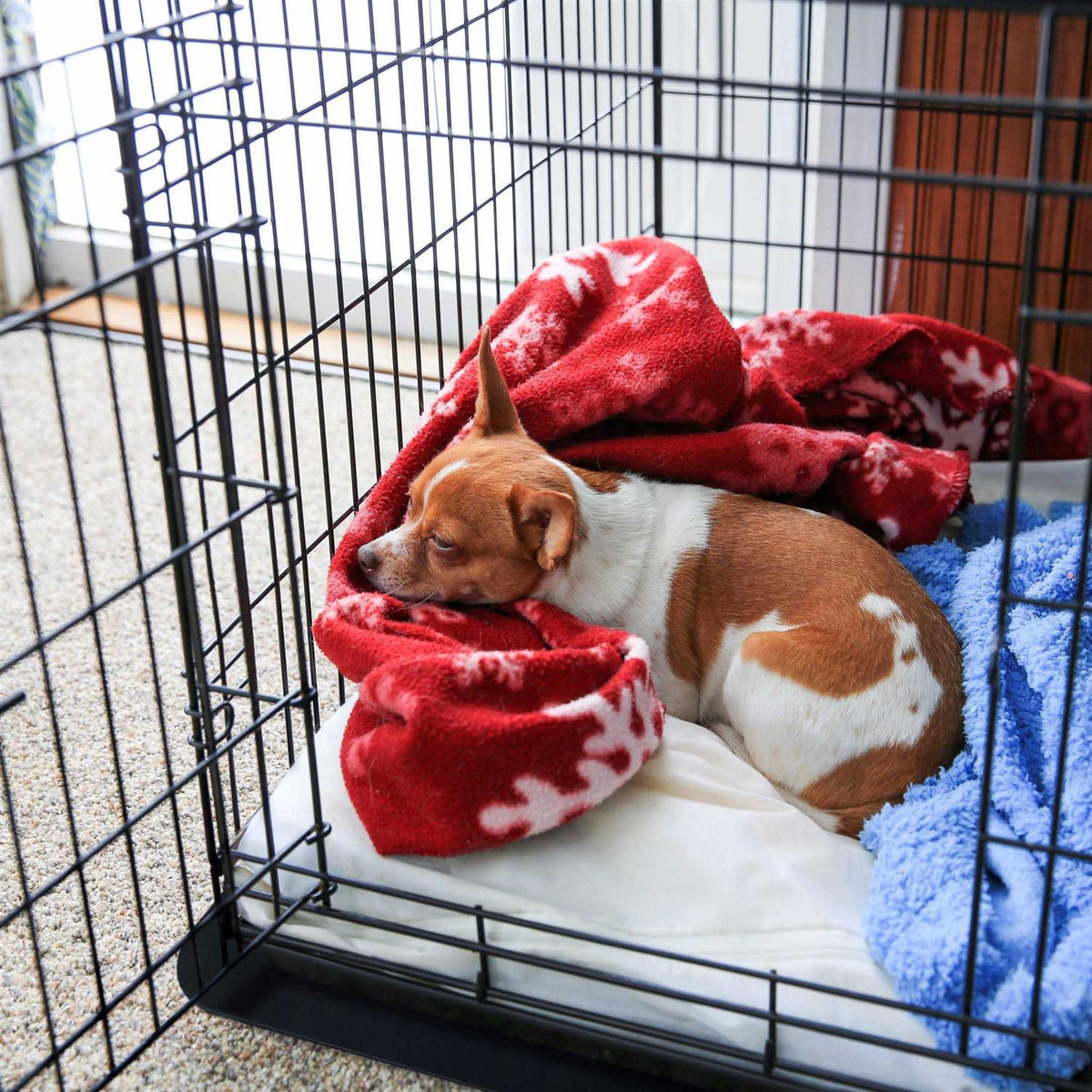 Pet Crate Floor Protection Mat V65352