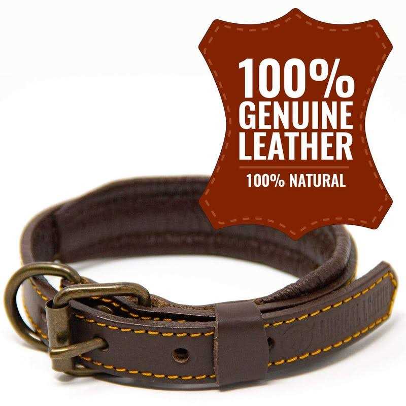 Padded Full Grain Leather Dog Collar L325
