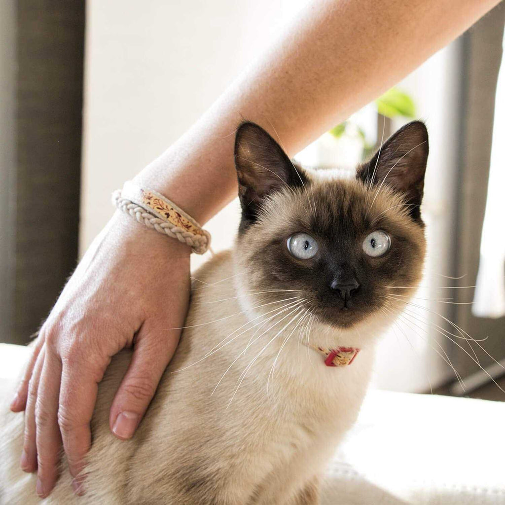 Cat Collar Breakaway S8543