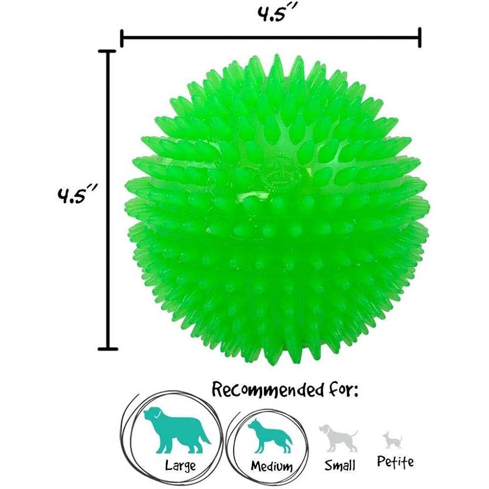 Large Squeak & Light Ball Dog Toy B689