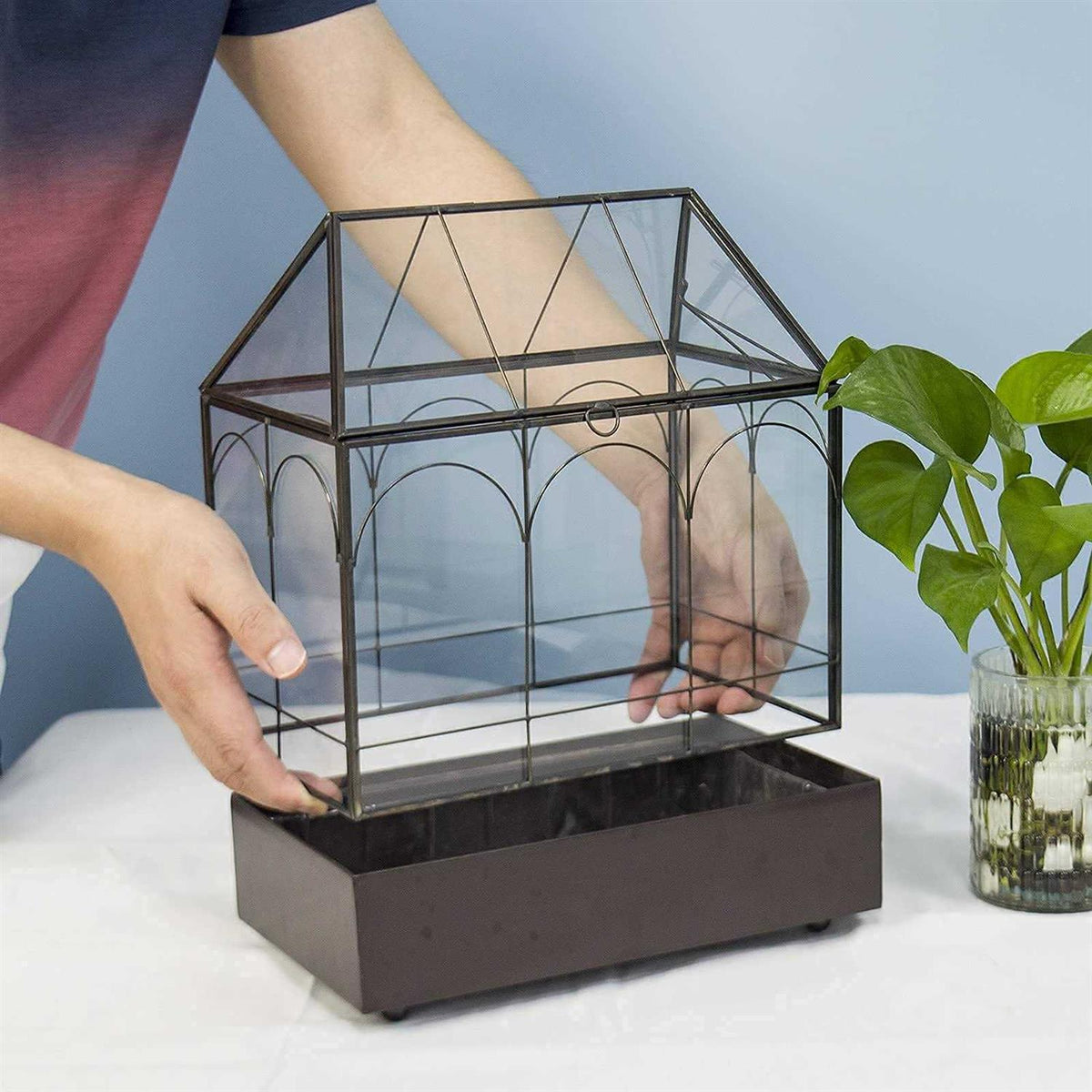 Large Tall Glass Plant Terrarium with Tray X3118