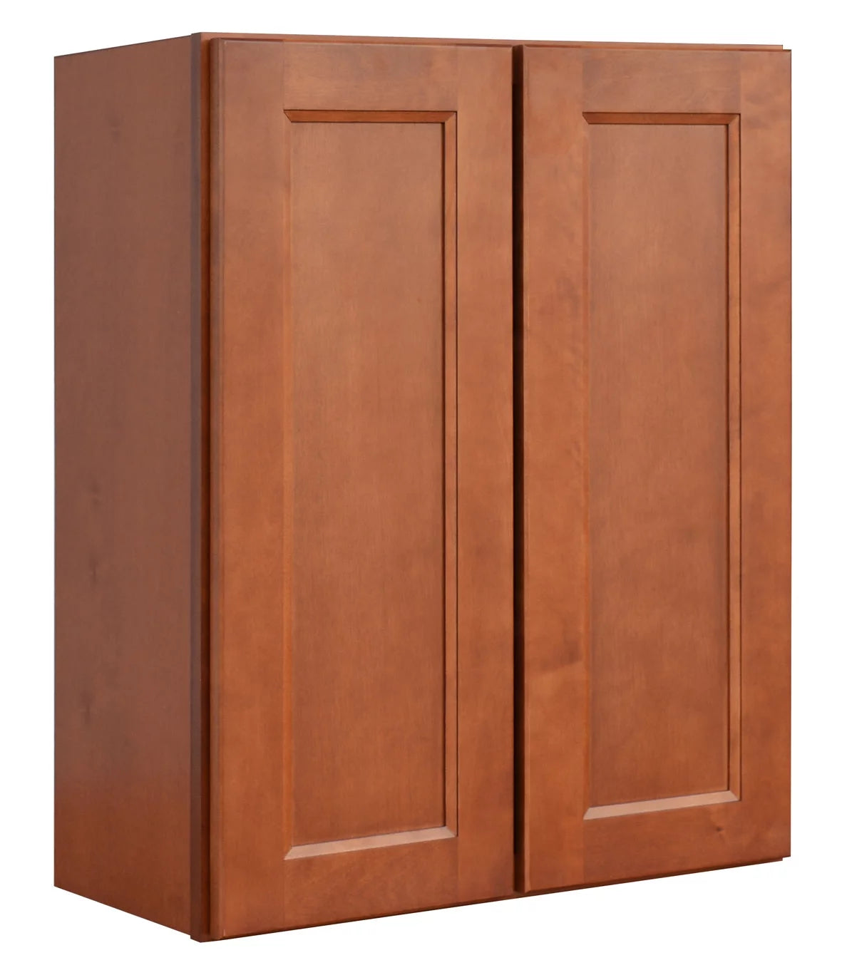 24" x 30" Double Door Wall Cabinet Q32664