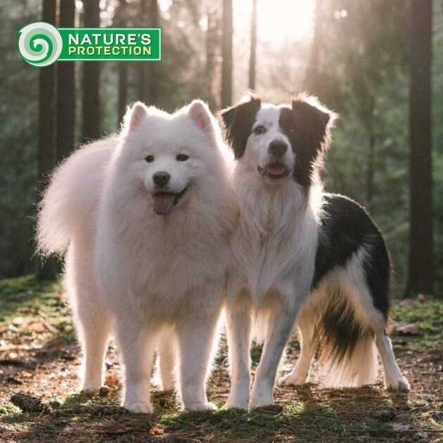 Grain Free White Small Breed Adult Dry Dog Food X438851