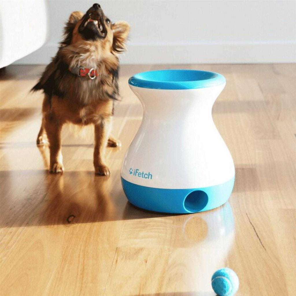 Dog Toy N9757
