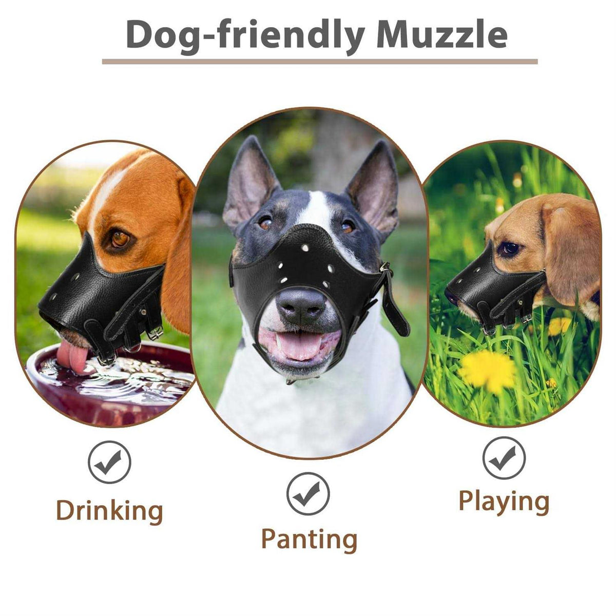 Leather Dog Muzzle P595