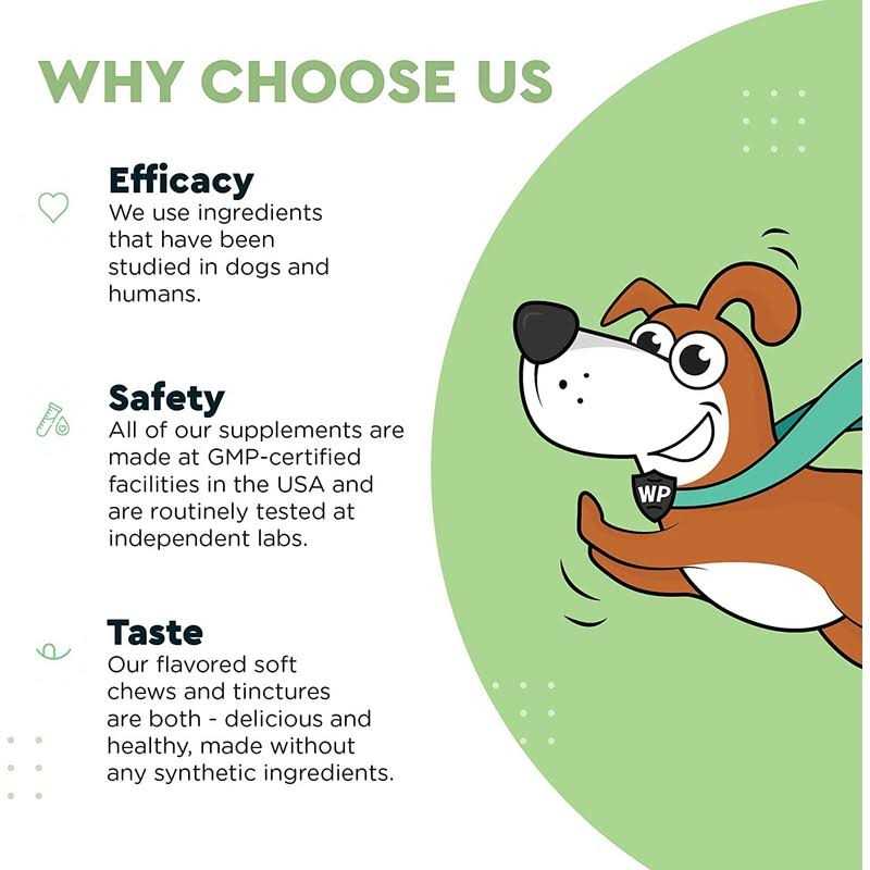 Milk Thistle Liver Support for Dogs P682