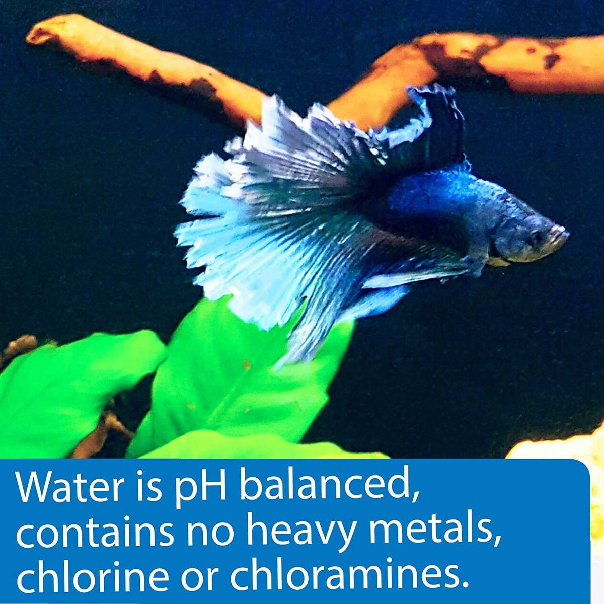 Betta Water C861