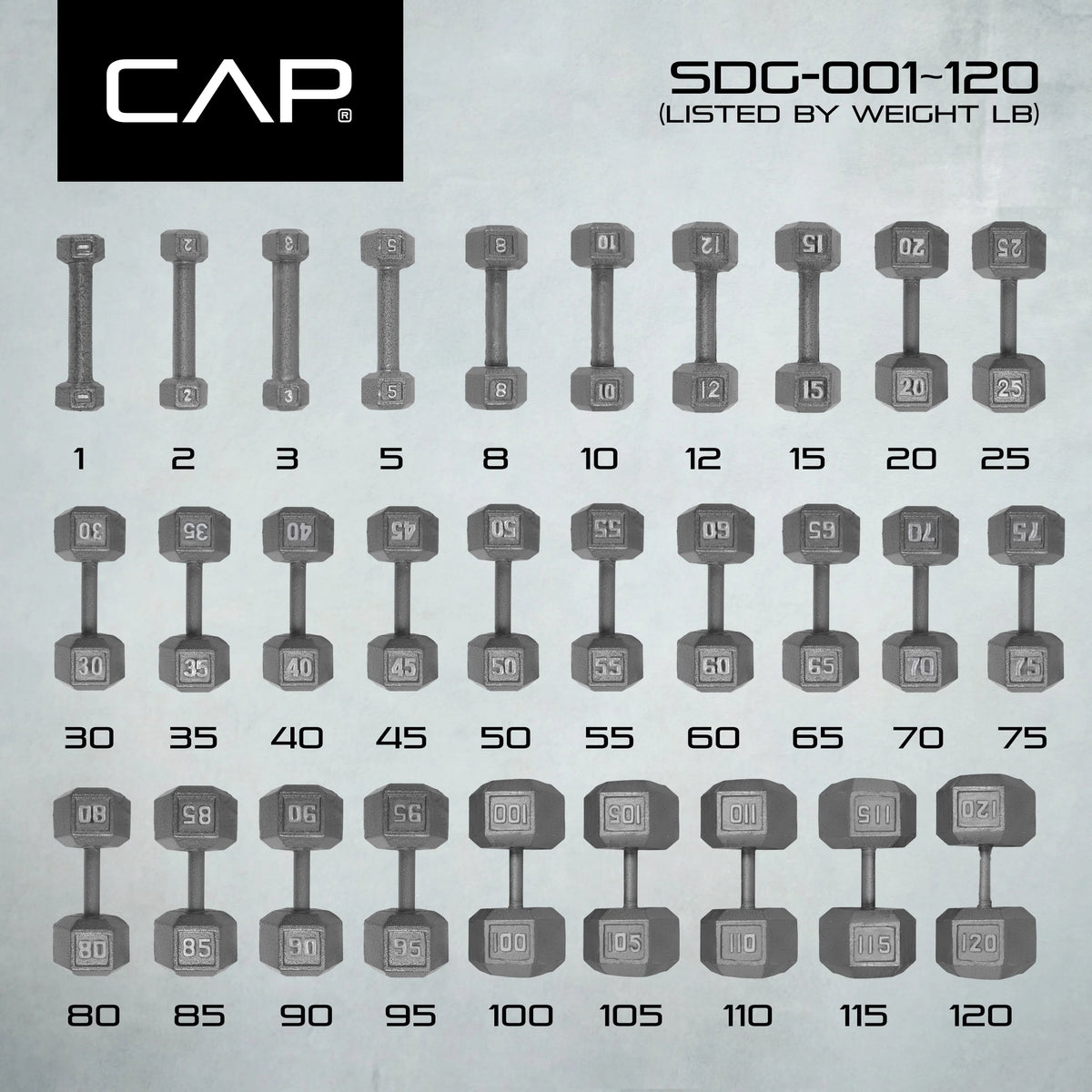 25lb Cast Iron Hex Dumbbell O69756