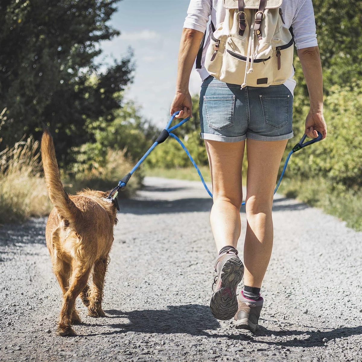 Dog Rope Leash Y42741