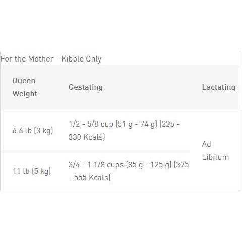Dry Cat Food Y695