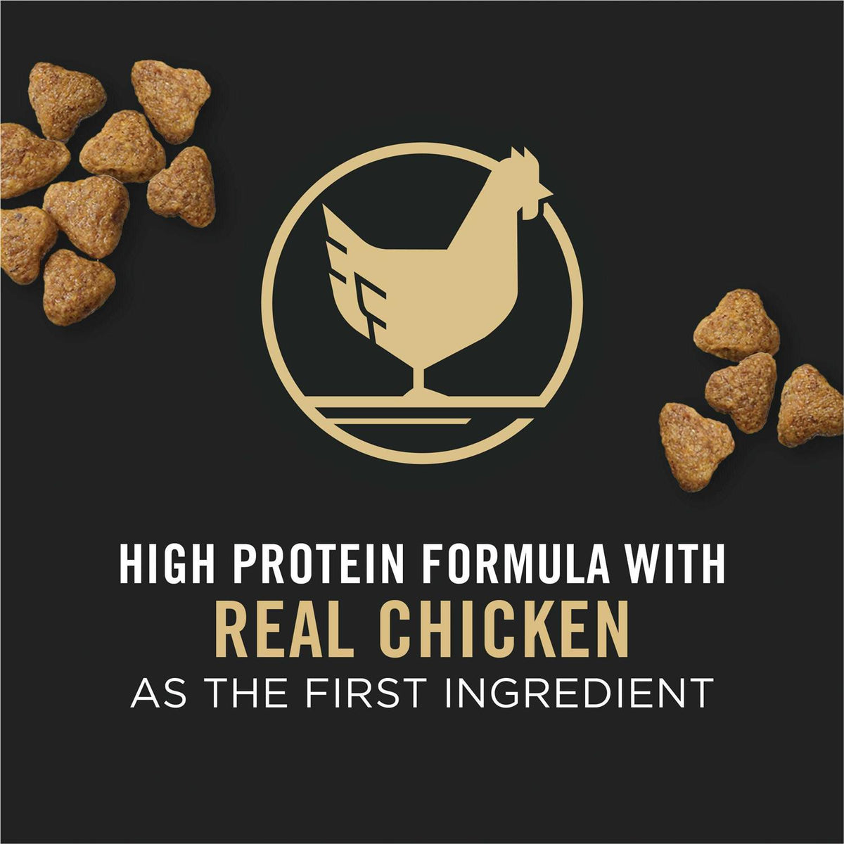 High Protein Chicken Large Breed Puppy Food A458958