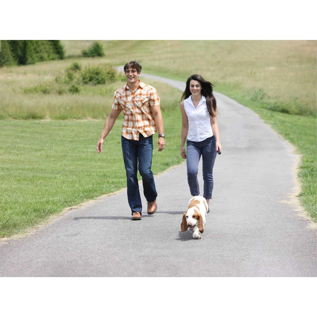 Ultrasonic Remote Dog Trainer R440