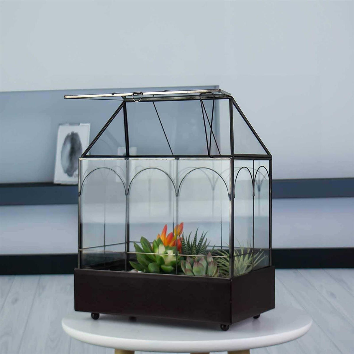 Large Tall Glass Plant Terrarium with Tray X3118