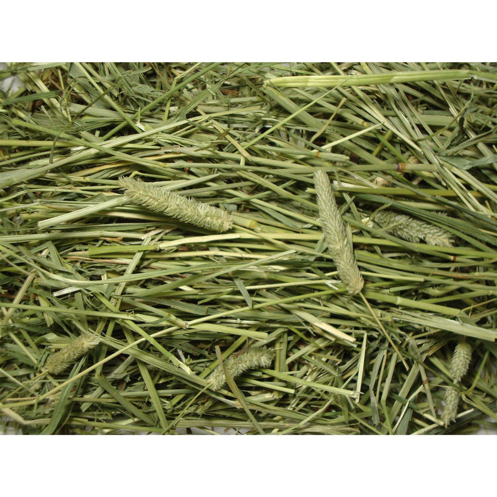 Natural Timothy Hay B890608