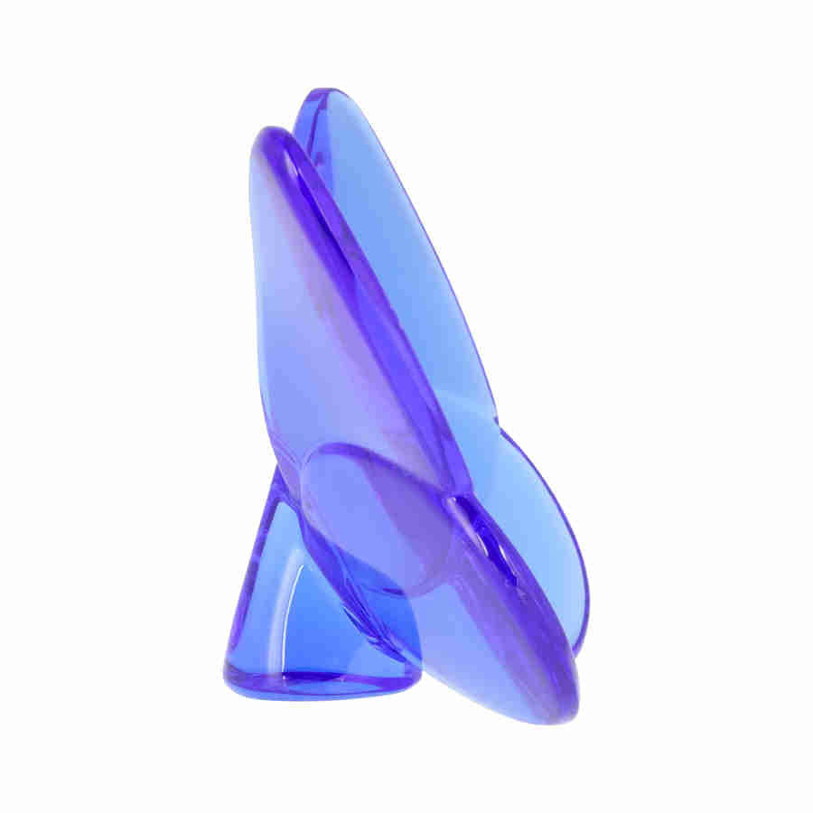 Blue Butterfly V431131