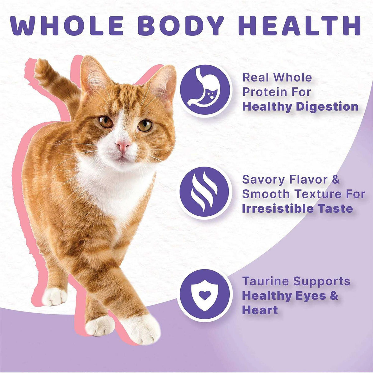 Grain Free Salmon Stew Adult Cat Food J90557