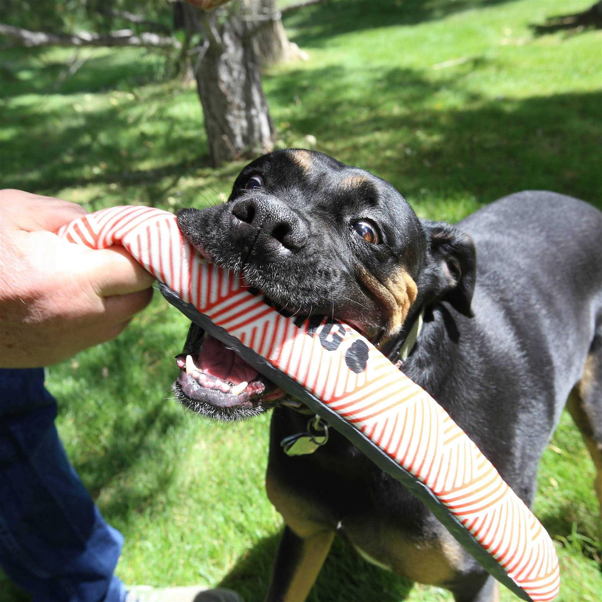 Dog Toy Stick L7604