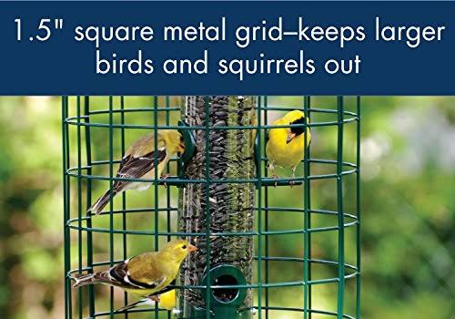 Caged 6 Port Seed Tube Feeder C57835