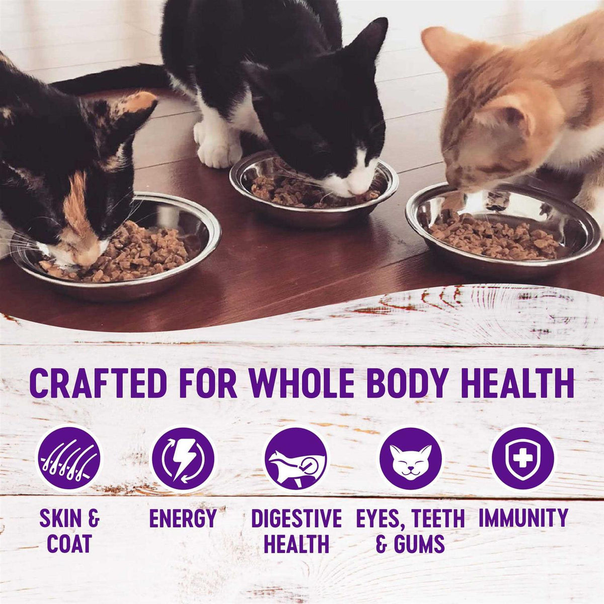 Complete Health Pâté Y177854