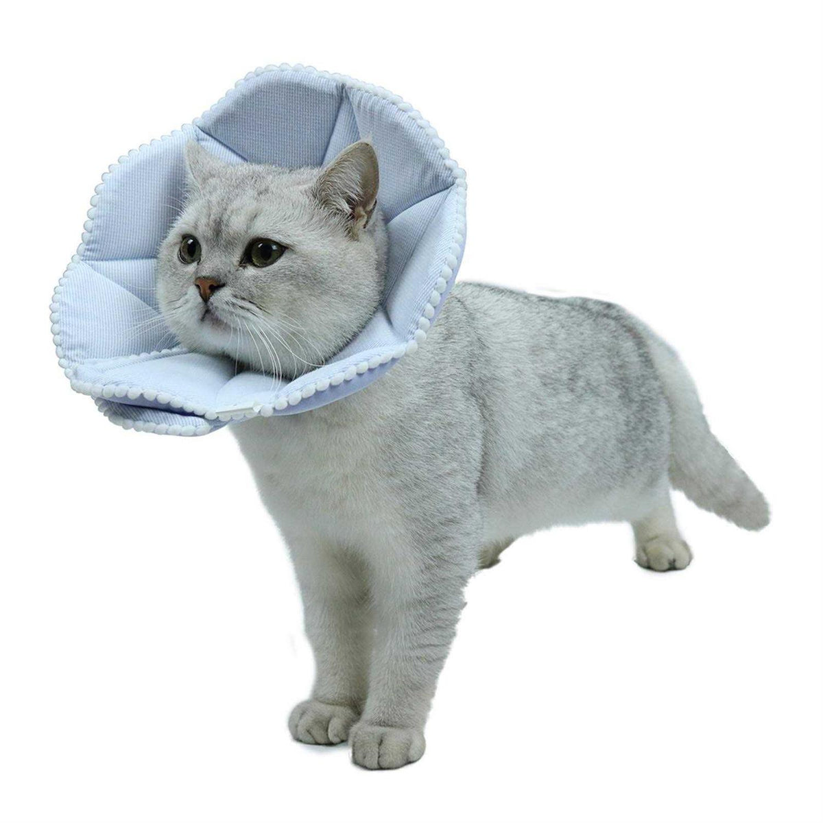 Soft Adjustable Cat Dog Recovery Collar G487862