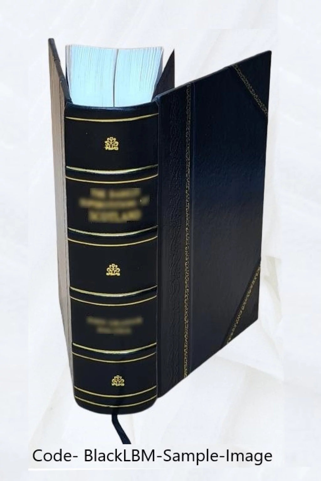 Leather Bound Electronics O14260