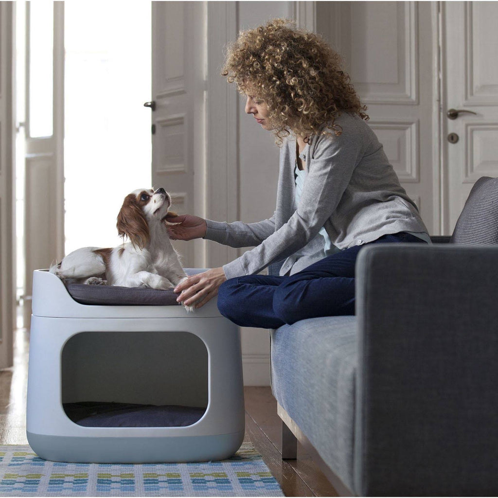 Bunk Bed/Pet Carrier/Travel Crate 3-in-1 R5226