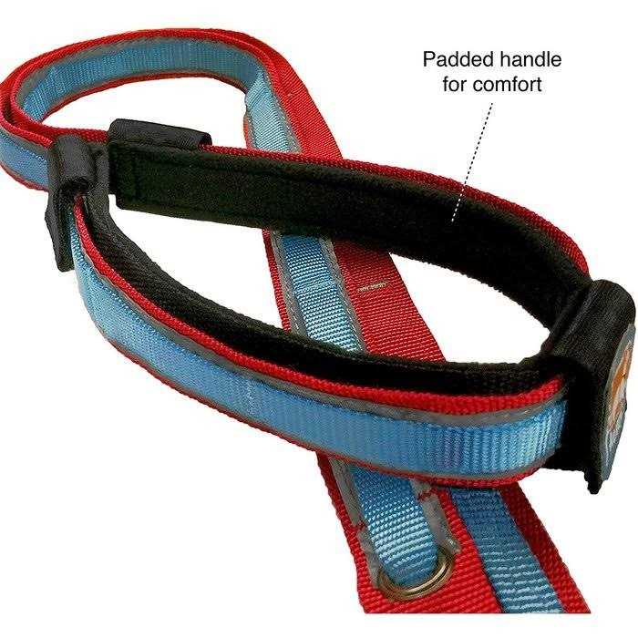 Dog Leash O434754