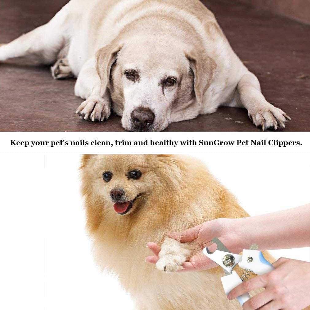 Cat & Dog Nail Trimmers & File Set X35442