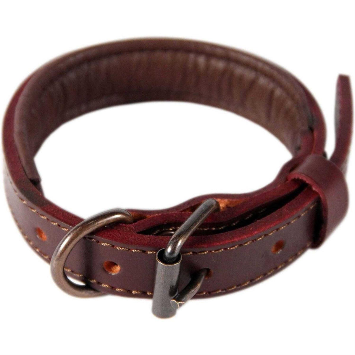 Padded Full Grain Leather Dog Collar L325