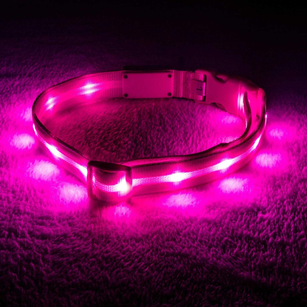 LED Light Up Dog Collar U12587