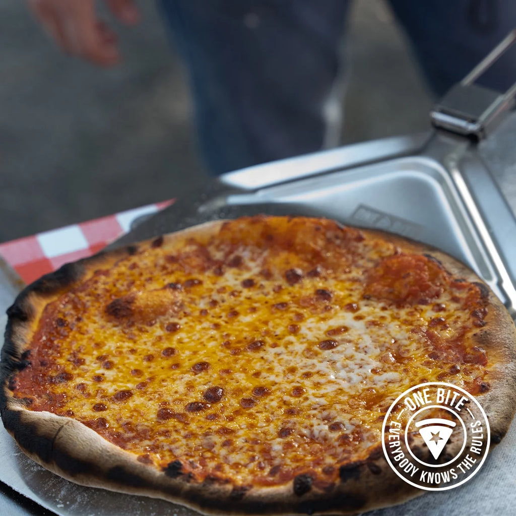 Charcoal Pizza Oven L59735