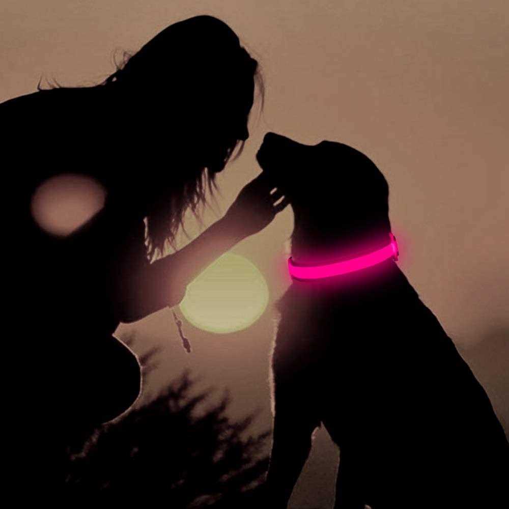 LED USB Rechargeable Dog Collar J379