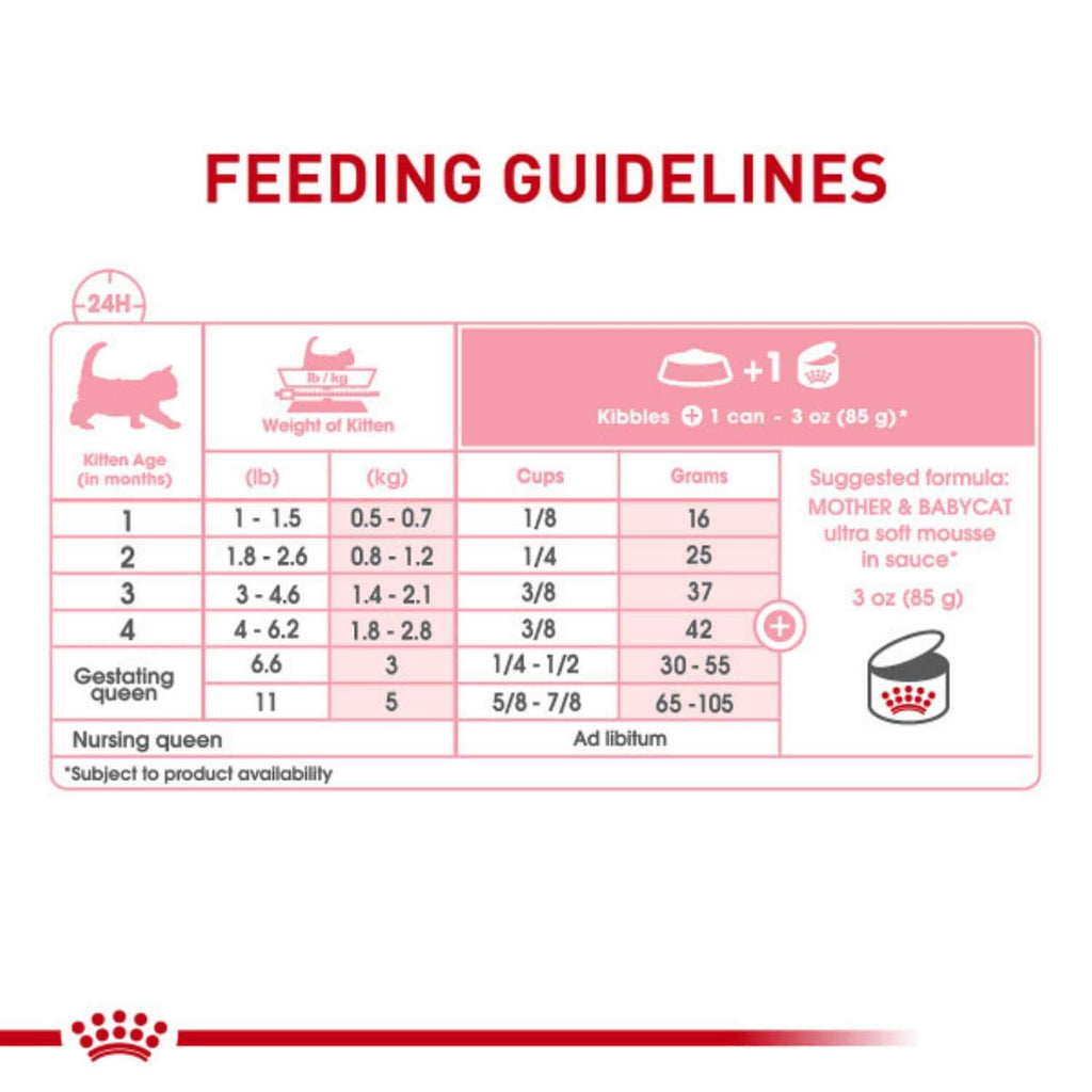 Wet Cat Food W1617