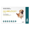 Teal 6 Pack R64439