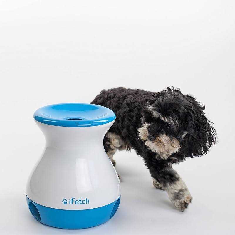 Dog Toy N9757