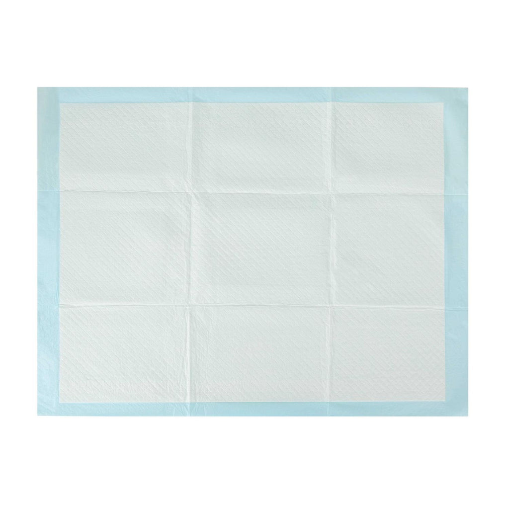 XL Super Absorbent Training Pads I3066