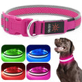 LED USB Rechargeable Dog Collar J379