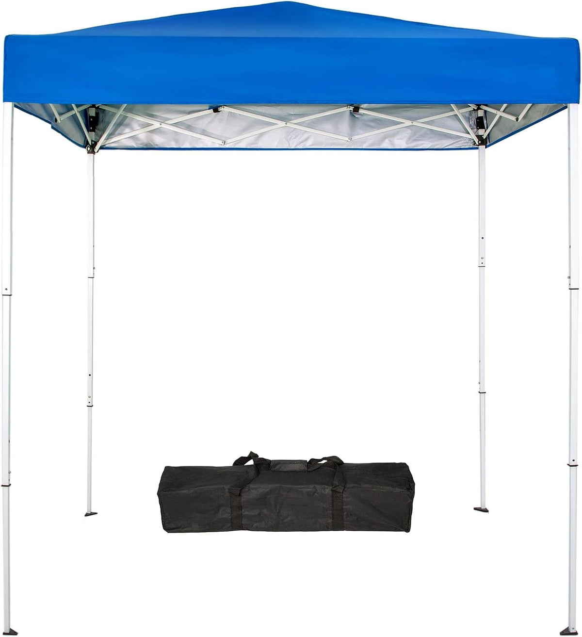 6x4 Ft Pop-Up Canopy Tent with Carry Bag J189488