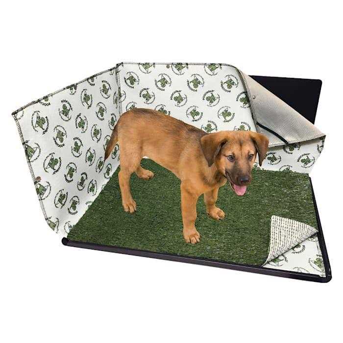 Indoor Dog Potty Q73781