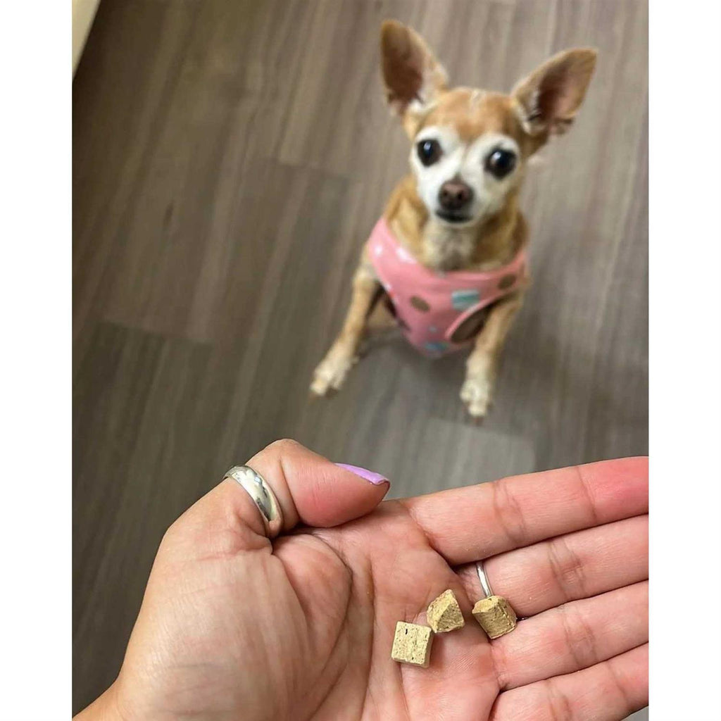 Beef Liver Freeze Dried Dog Treats Q828